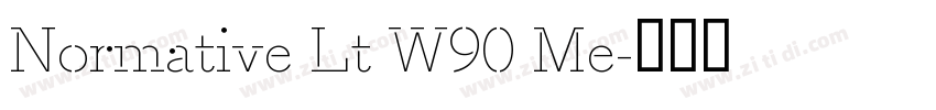 Normative Lt W90 Me字体转换